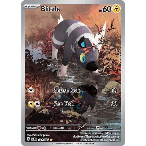 Blitzle - 114/086 - SV: White Flare (WHT)