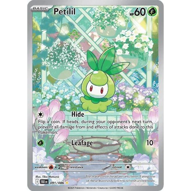 Petilil - 091/086 - SV: Black Bolt (BLK)