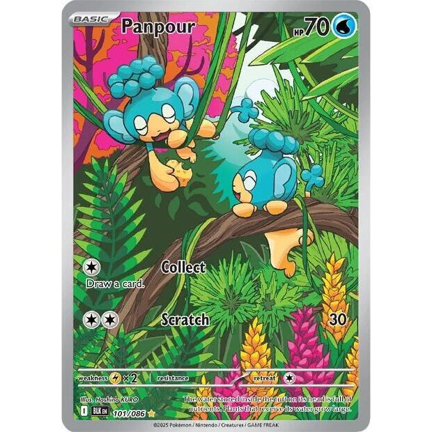 Panpour - 101/086 - SV: Black Bolt (BLK)