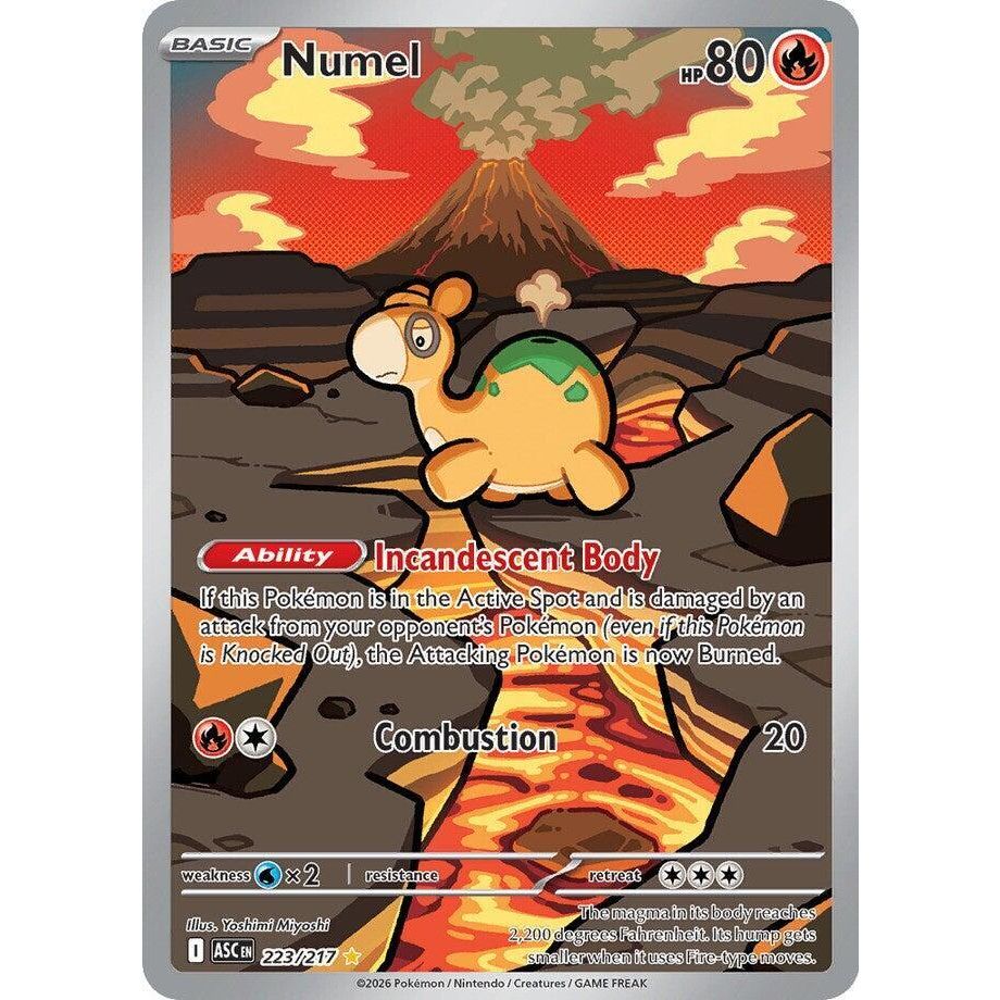 Numel - 223/217 - ME: Ascended Heroes (ASC)